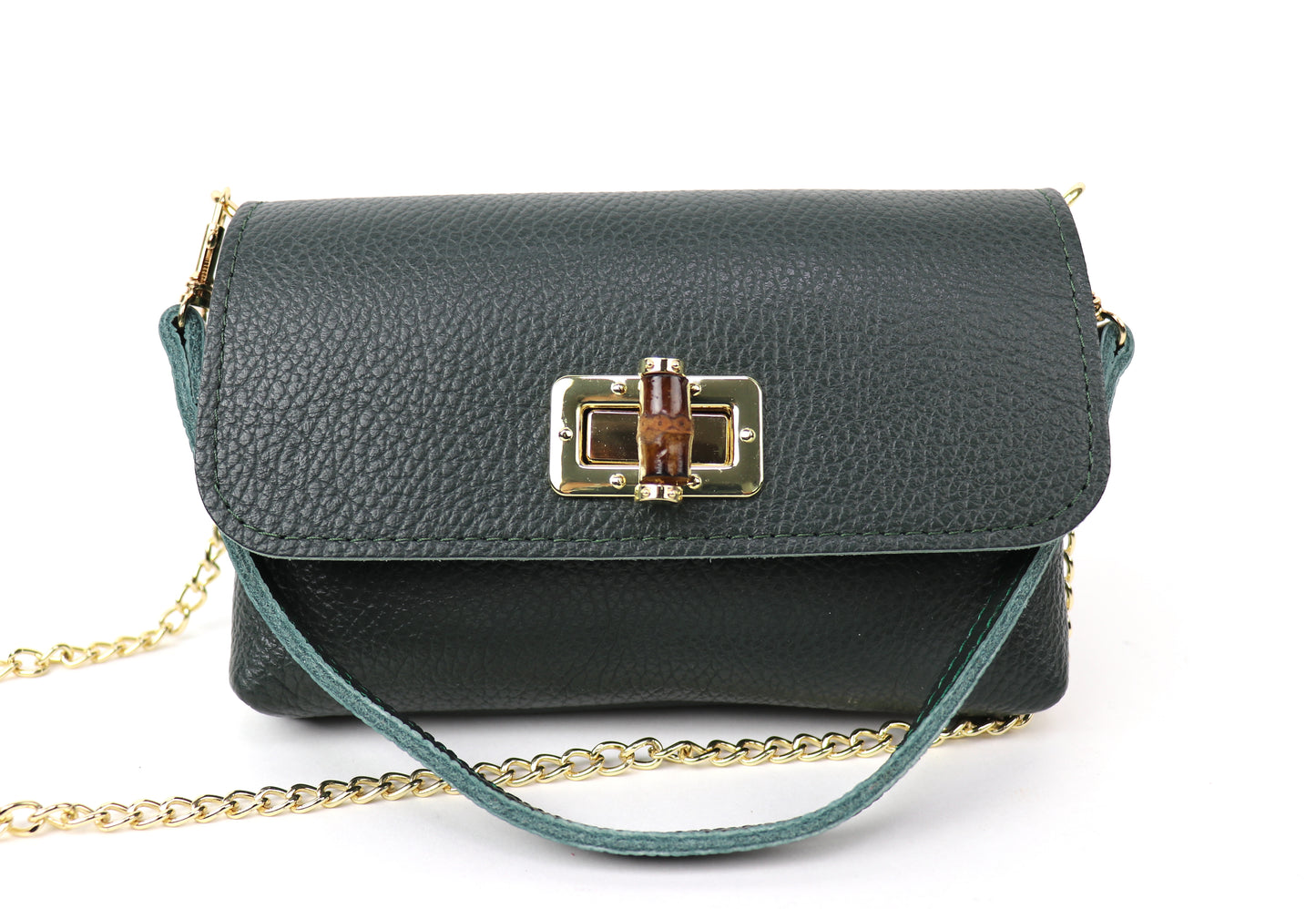 Dark green leather bag with a gold clasp and chain, showing the front panel.